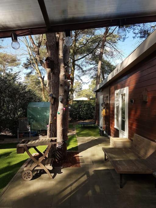 3 Bedroom Chalet On Camping Gt Balen Eksteriør billede
